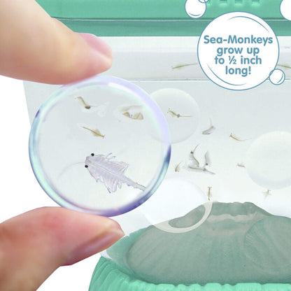 Sea-Monkeys Ocean Volcano - US 7514